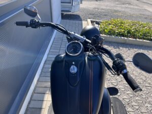IMG_6010